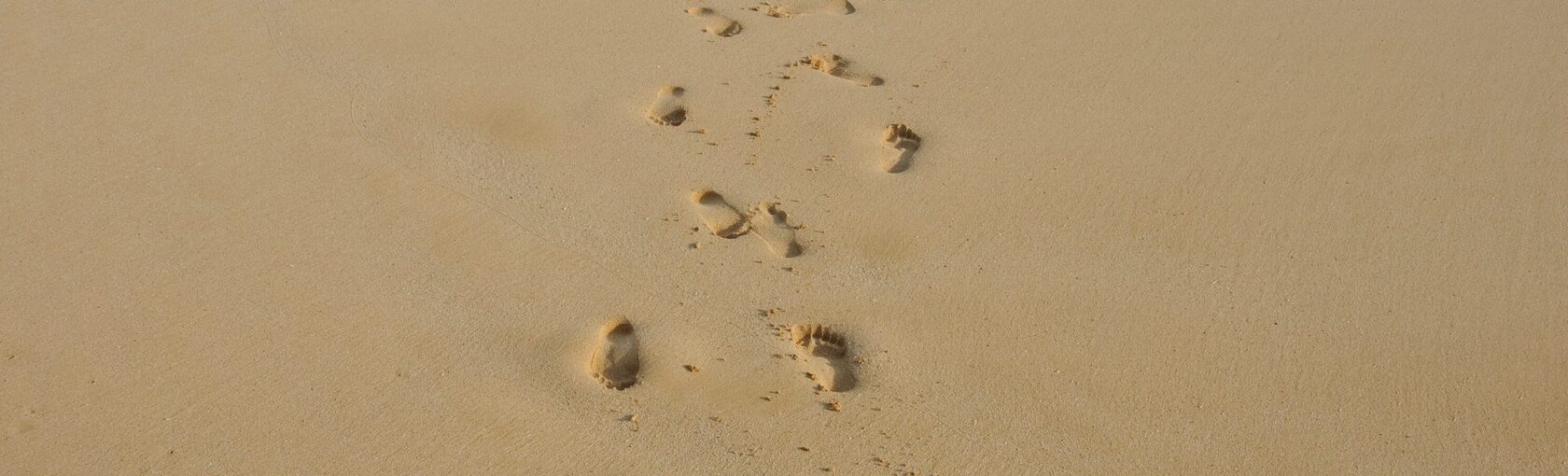 Jouw weg vind je op geen enkele kaart maar toont zich in de moed van elke stap...