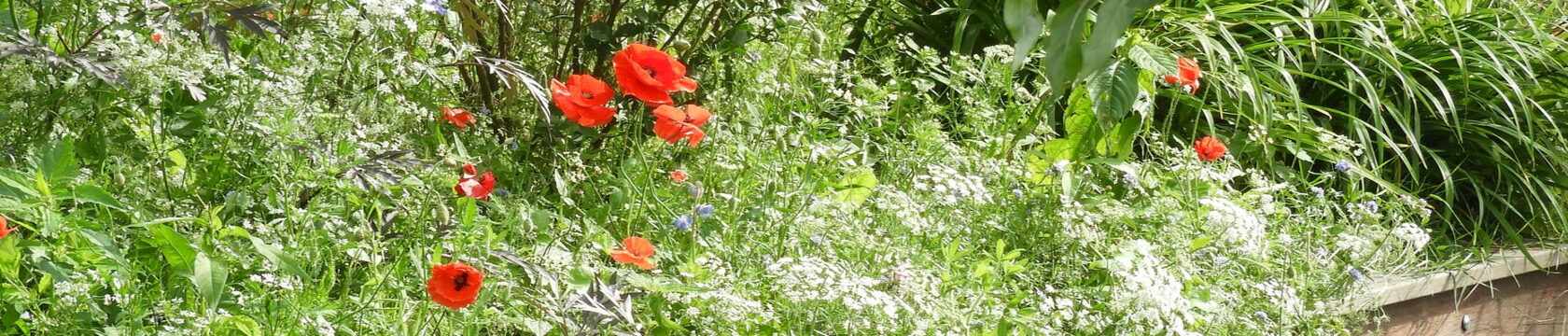 DSCN3111
