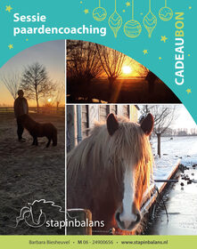 Stap in Balans kerstcheque